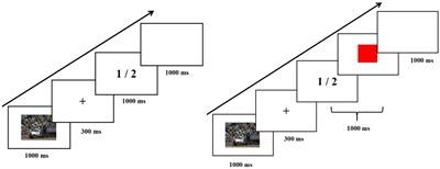 Effect of emotional stimulus on response inhibition in people with mild cognitive impairment: an event-related potential study